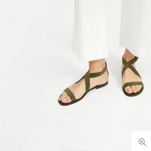 NWT Everlane Modern Wrap Flat Sandal Dark Green